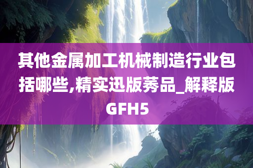 其他金属加工机械制造行业包括哪些,精实迅版莠品_解释版GFH5