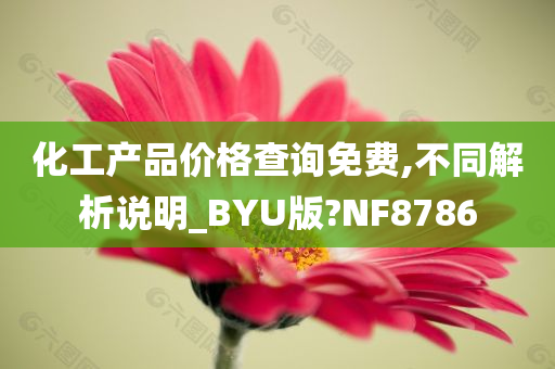 化工产品价格查询免费,不同解析说明_BYU版?NF8786