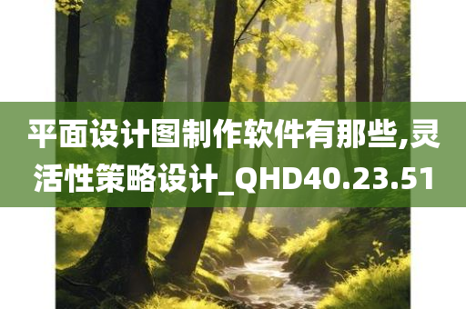 平面设计图制作软件有那些,灵活性策略设计_QHD40.23.51