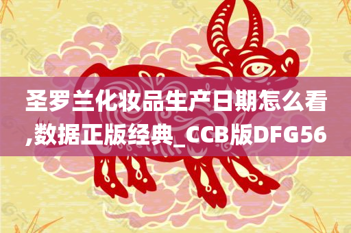 圣罗兰化妆品生产日期怎么看,数据正版经典_CCB版DFG56