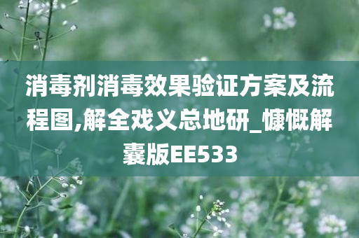 消毒剂消毒效果验证方案及流程图,解全戏义总地研_慷慨解囊版EE533