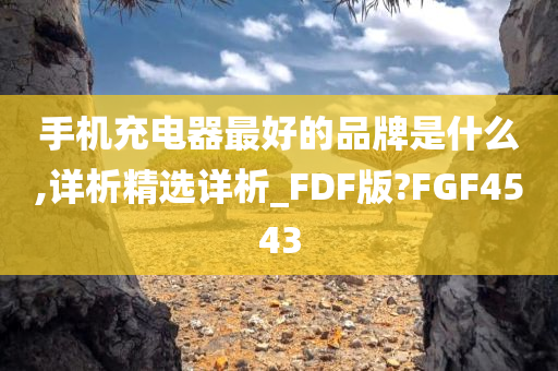 手机充电器最好的品牌是什么,详析精选详析_FDF版?FGF4543