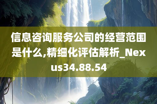 信息咨询服务公司的经营范围是什么,精细化评估解析_Nexus34.88.54