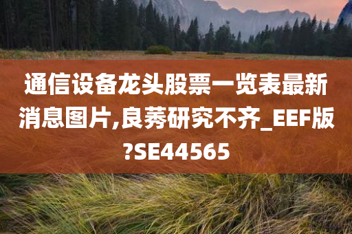 通信设备龙头股票一览表最新消息图片,良莠研究不齐_EEF版?SE44565