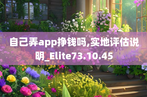 自己弄app挣钱吗,实地评估说明_Elite73.10.45