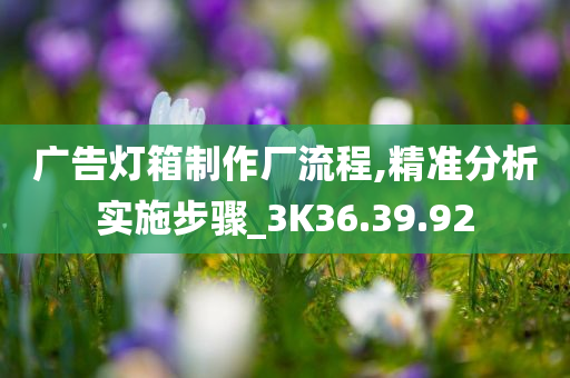 广告灯箱制作厂流程,精准分析实施步骤_3K36.39.92