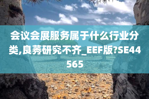 会议会展服务属于什么行业分类,良莠研究不齐_EEF版?SE44565