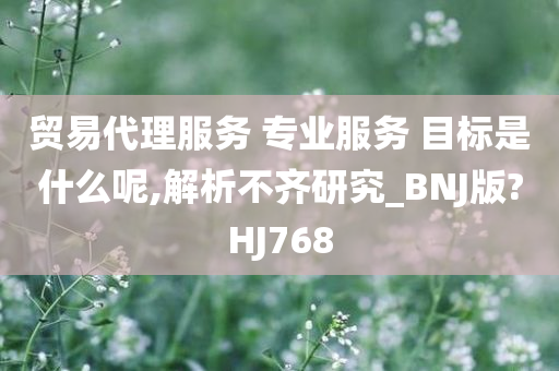 贸易代理服务 专业服务 目标是什么呢,解析不齐研究_BNJ版?HJ768