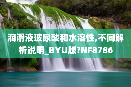 润滑液玻尿酸和水溶性,不同解析说明_BYU版?NF8786