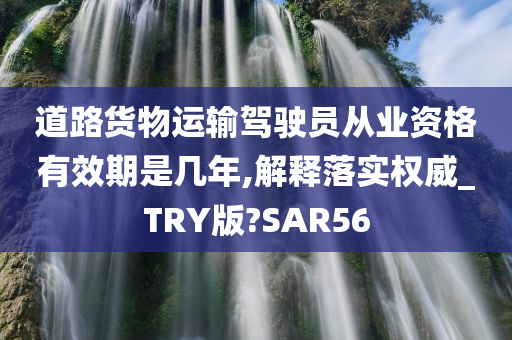 道路货物运输驾驶员从业资格有效期是几年,解释落实权威_TRY版?SAR56