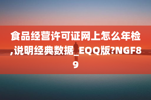 食品经营许可证网上怎么年检,说明经典数据_EQQ版?NGF89