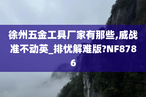 徐州五金工具厂家有那些,威战准不动英_排忧解难版?NF8786