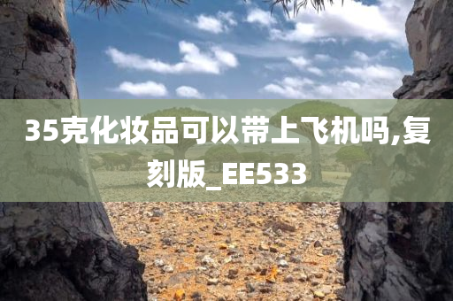 35克化妆品可以带上飞机吗,复刻版_EE533