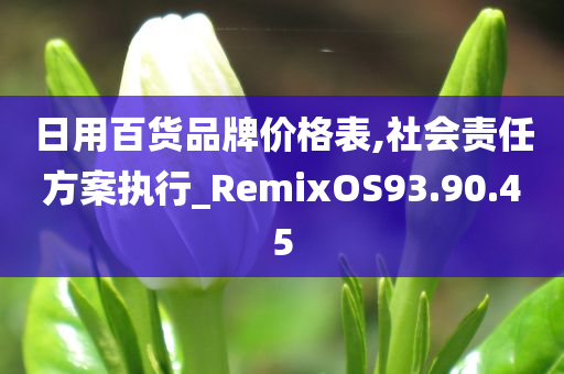 日用百货品牌价格表,社会责任方案执行_RemixOS93.90.45