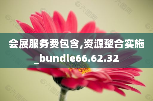 会展服务费包含,资源整合实施_bundle66.62.32