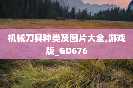 机械刀具种类及图片大全,游戏版_GD676