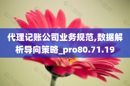 代理记账公司业务规范,数据解析导向策略_pro80.71.19