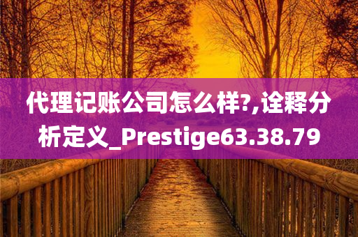 代理记账公司怎么样?,诠释分析定义_Prestige63.38.79