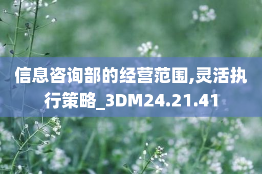 信息咨询部的经营范围,灵活执行策略_3DM24.21.41