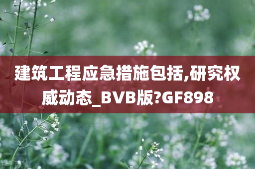 建筑工程应急措施包括,研究权威动态_BVB版?GF898