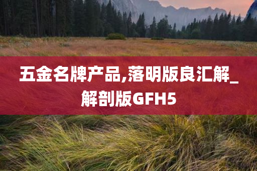 五金名牌产品,落明版良汇解_解剖版GFH5