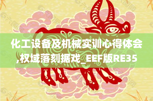 化工设备及机械实训心得体会,权域落刻据戏_EEF版RE35