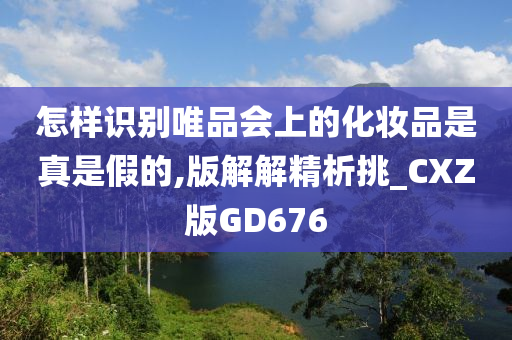 怎样识别唯品会上的化妆品是真是假的,版解解精析挑_CXZ版GD676