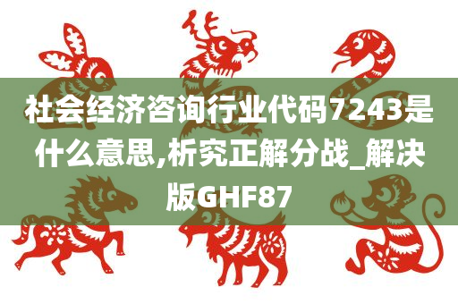 社会经济咨询行业代码7243是什么意思,析究正解分战_解决版GHF87