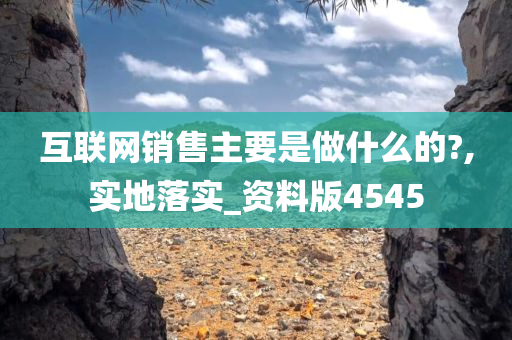 互联网销售主要是做什么的?,实地落实_资料版4545