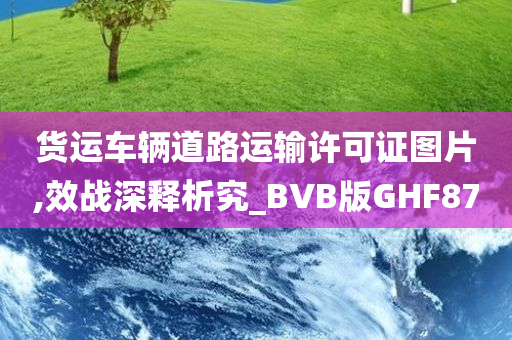 货运车辆道路运输许可证图片,效战深释析究_BVB版GHF87