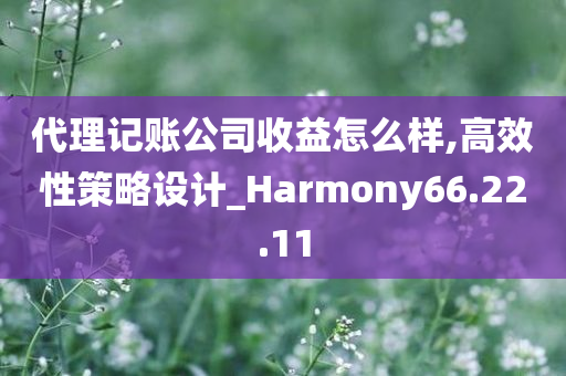 代理记账公司收益怎么样,高效性策略设计_Harmony66.22.11