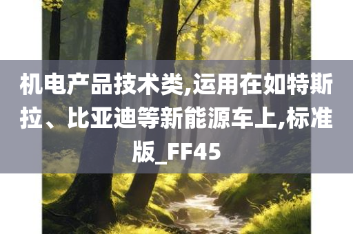 机电产品技术类,运用在如特斯拉、比亚迪等新能源车上,标准版_FF45