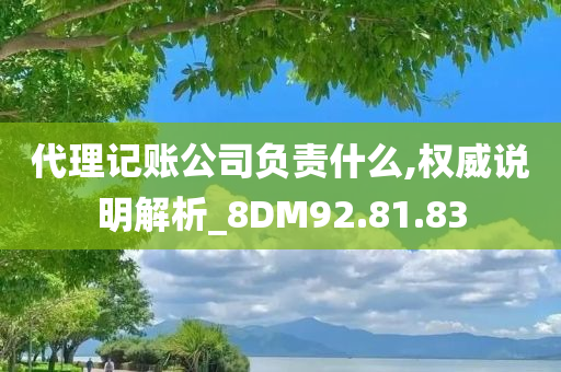 代理记账公司负责什么,权威说明解析_8DM92.81.83