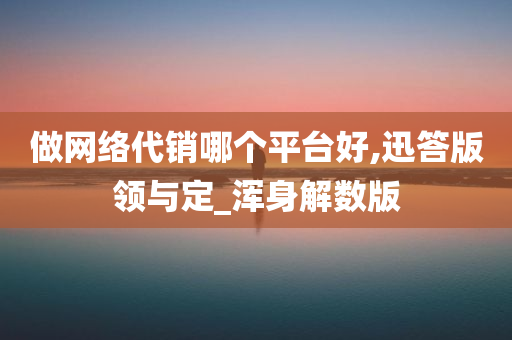 做网络代销哪个平台好,迅答版领与定_浑身解数版