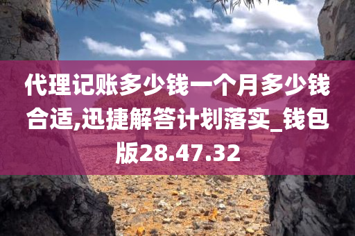 代理记账多少钱一个月多少钱合适,迅捷解答计划落实_钱包版28.47.32