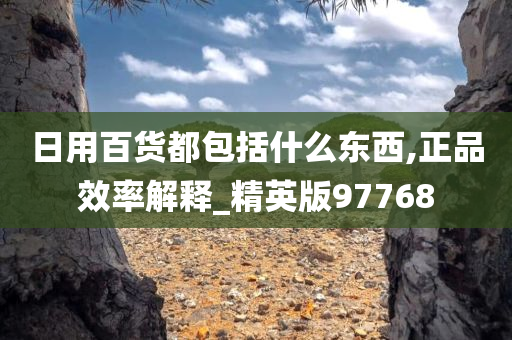 日用百货都包括什么东西,正品效率解释_精英版97768