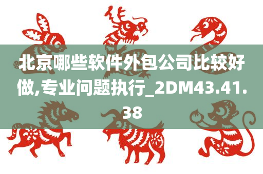 北京哪些软件外包公司比较好做,专业问题执行_2DM43.41.38