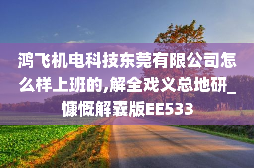 鸿飞机电科技东莞有限公司怎么样上班的,解全戏义总地研_慷慨解囊版EE533