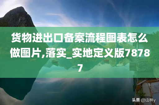 货物进出口备案流程图表怎么做图片,落实_实地定义版78787