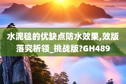 水泥毯的优缺点防水效果,效版落究析领_挑战版?GH489