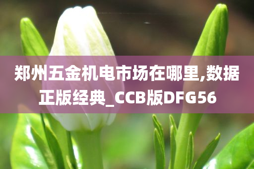 郑州五金机电市场在哪里,数据正版经典_CCB版DFG56