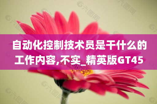 自动化控制技术员是干什么的工作内容,不实_精英版GT45