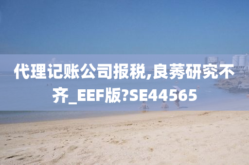 代理记账公司报税,良莠研究不齐_EEF版?SE44565