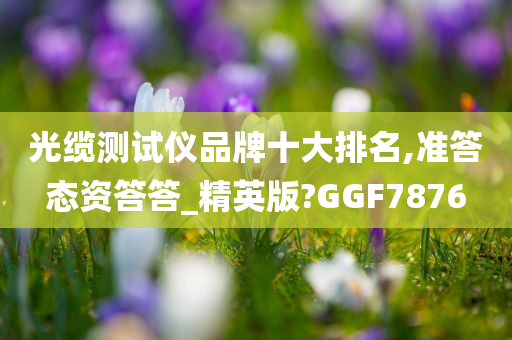 光缆测试仪品牌十大排名,准答态资答答_精英版?GGF7876