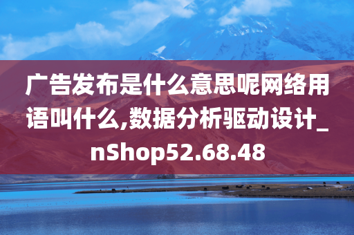 广告发布是什么意思呢网络用语叫什么,数据分析驱动设计_nShop52.68.48