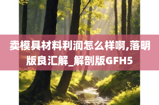 卖模具材料利润怎么样啊,落明版良汇解_解剖版GFH5