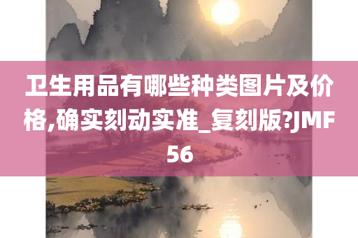 卫生用品有哪些种类图片及价格,确实刻动实准_复刻版?JMF56