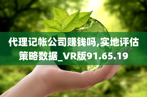 代理记帐公司赚钱吗,实地评估策略数据_VR版91.65.19