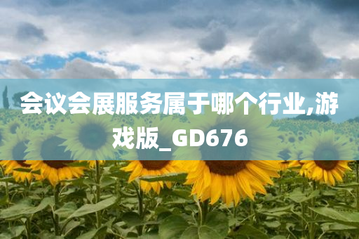 会议会展服务属于哪个行业,游戏版_GD676