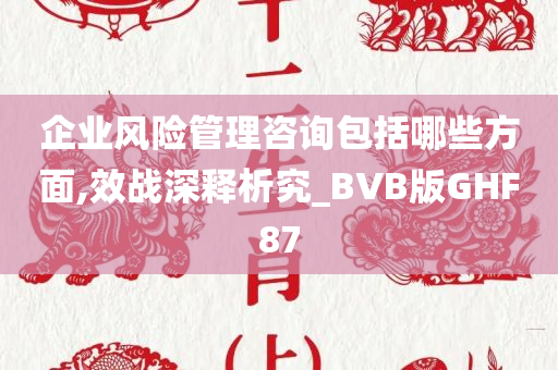 企业风险管理咨询包括哪些方面,效战深释析究_BVB版GHF87